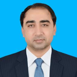 Aamir S. - Lead Software Engineer - Cybersecurity, Desktop Applications and Digital Signal Processing