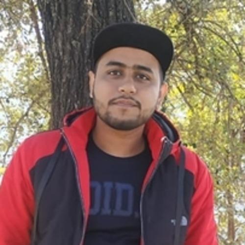 Aashish A. || item.role}