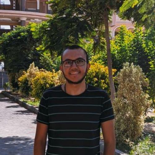 Profile of Abanoub A., Senior Full-Stack Engineer - PHP, Vue.js and Web Development at Softaims
