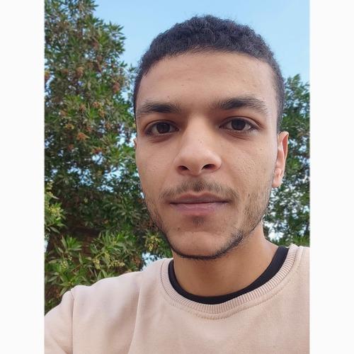 Abdelrahman E. || item.role}