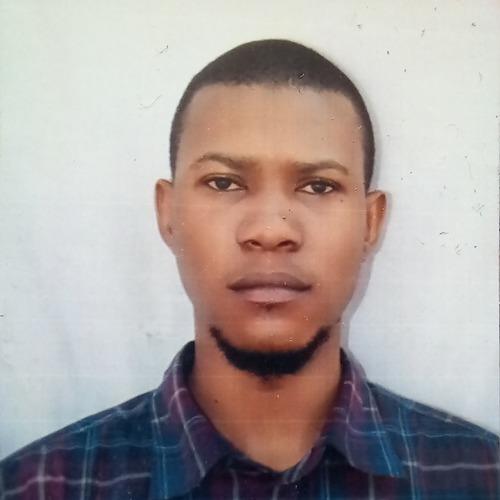 Abdulhamid U. || item.role}