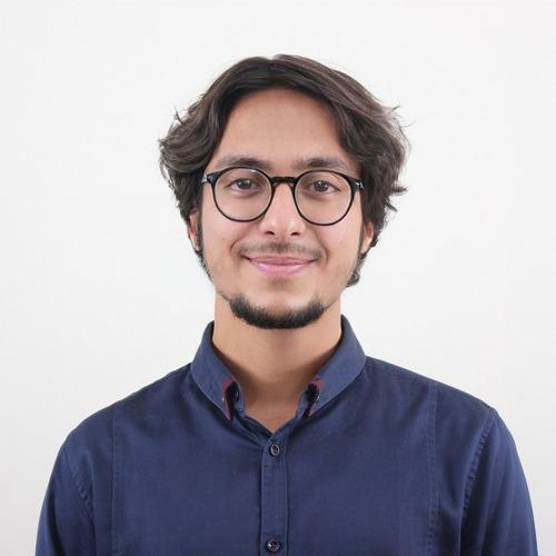 Abdullah M., developer
