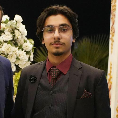 Abdurrafay B. || item.role}