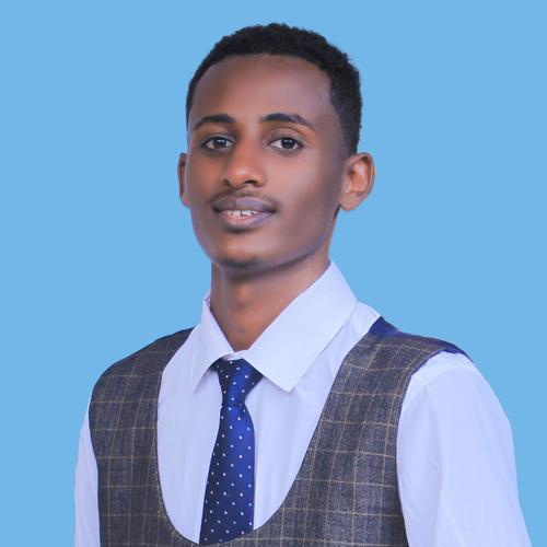 Abenezer L. - PostgreSQL Developer