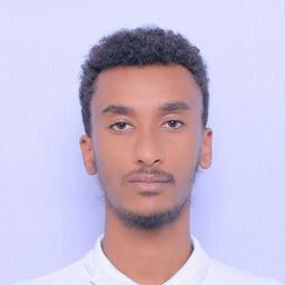 Abeselom D. - Junior Mobile Engineer - Flutter, Python and Android Platforms
