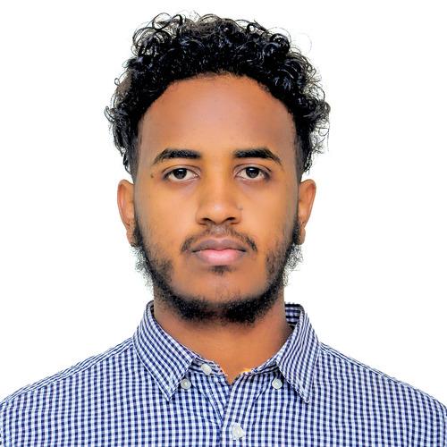 Abesolom N. - MongoDB Developer