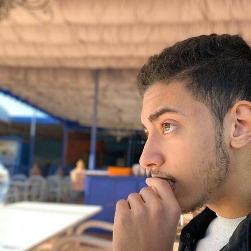 Aboumajd A. || item.role}