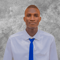 Adejayan M. - Software Engineer - Web, Automation and AI Platforms