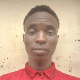 Adeleke D. - Junior Software Engineer - Web, Marketing and General Development