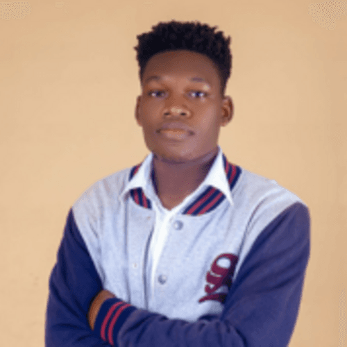 Adeniji F. || item.role}