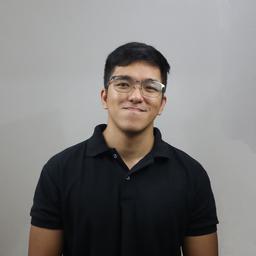 Adonis S. - Software Engineer - Game Development, C# and Digital Art Platforms