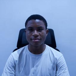 Agbama A. - Senior Full-Stack Engineer - Node.js, Vue.js and Mobile Platforms