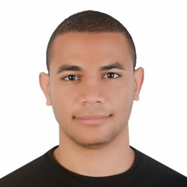Ahmed H. - Software Engineer - Mobile, Backend and Cloud Platforms