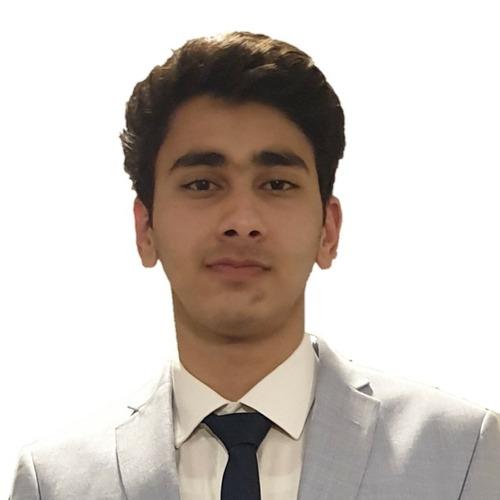 Ahmed H. || item.role}