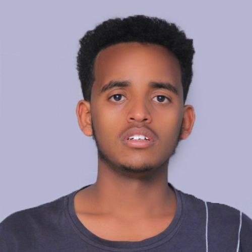 Ahmed M. || item.role}