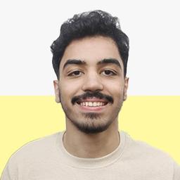 Ahmed N. - Software Engineer - Frontend, Web and Mobile Platforms
