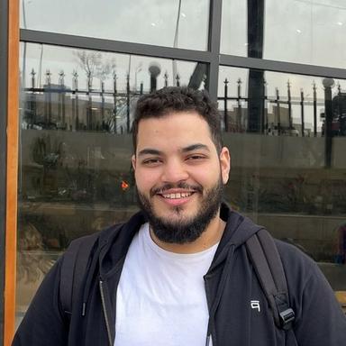 Ahmed S. - Software Engineer - Backend, Frontend and Web Development