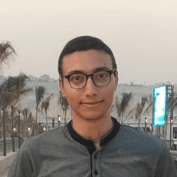 Ahmed S. - Software Engineer - Web, Backend and General Development