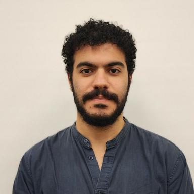 Ahmed S. - Lead Software Engineer - AI, Cloud and API Platforms
