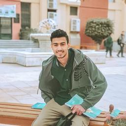 Ahmed S. - Software Engineer - Backend, Cloud and Modern Frameworks