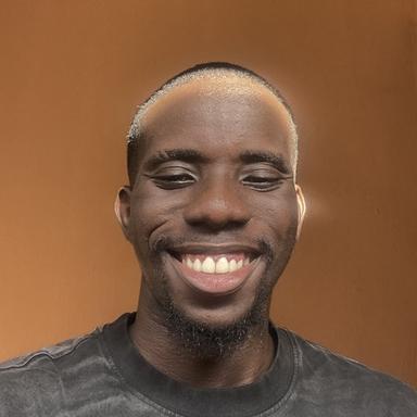 Ajao F. - Software Engineer - Web, WordPress and Ecommerce Platforms