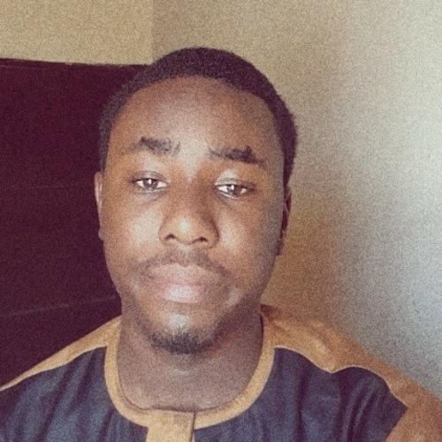 Profile of Ajayi E., Software Engineer - Frontend, CSS and Web Development at Softaims