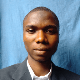 Ajibade A. - Software Engineer - Frontend, Modern Frameworks and Web Development