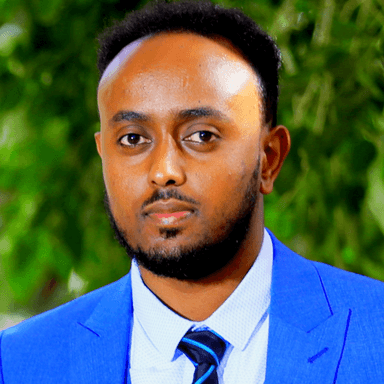 Aklilu H. - Software Engineer - Cybersecurity, Vulnerability Assessment and Security Testing