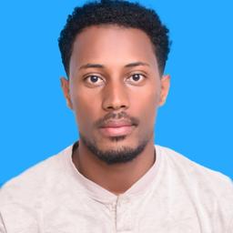 Aklilu S. - Software Engineer - Full-Stack, Cloud and Mobile Platforms