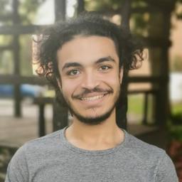 Alaa E. - Senior Backend Engineer - Python, Java and SQL Databases