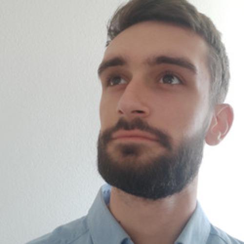 Aleksandar B. || item.role}