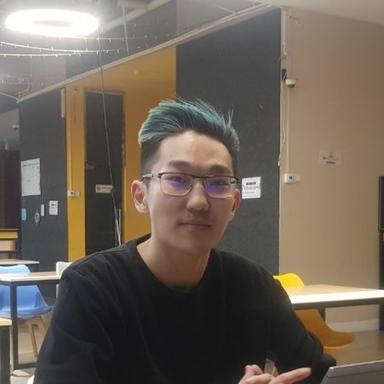 Aleksandr R. - Software Engineer - Frontend, Modern Frameworks and UI/UX Platforms