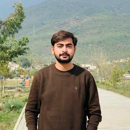 Ali I. - Junior Full-Stack Engineer - MERN, Laravel and Mobile Platforms