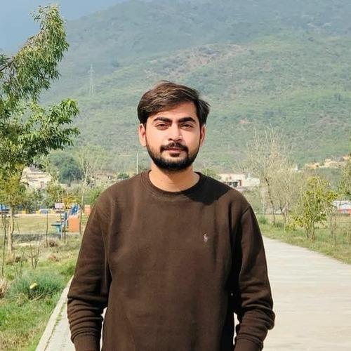 Ali I. || item.role}