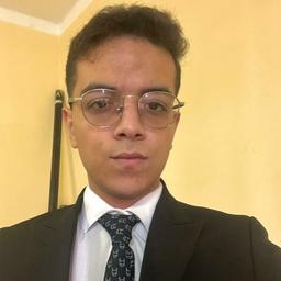 Ali I. - Junior Software Engineer - AI, Data Engineering and General Development