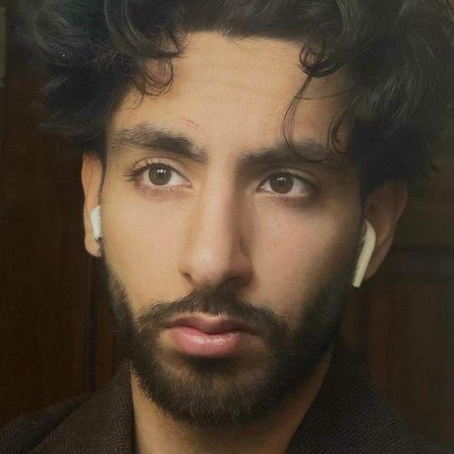 Ali L. || item.role}