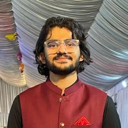 Ali S. - Senior Software Engineer - Salesforce, CRM and Analytics Platforms