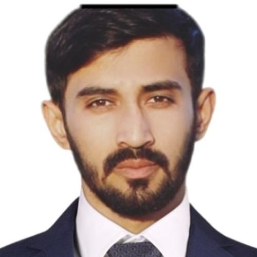 Ali U. || item.role}