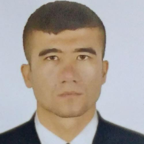 Alisher  K. || item.role}