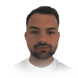 Altin P. - Senior Frontend Engineer - WordPress, HTML and Modern Frameworks
