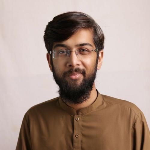 Ameer Hamza K. || item.role}