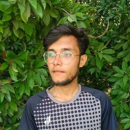 Amir K. - Software Engineer - Frontend, Node and Mobile Platforms