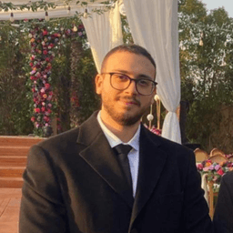 Anas Z. - Software Engineer - Ecommerce, Data Analysis and General Development