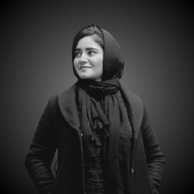 Aneeba A. - Software Engineer - AI, Machine Learning and Data Analytics