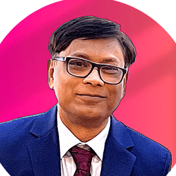 Anis K. - Senior Software Engineer - Salesforce, API and Business Applications