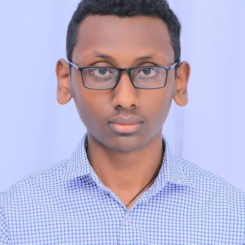 Profile of Aregawi F., Full Stack Developer at Softaims