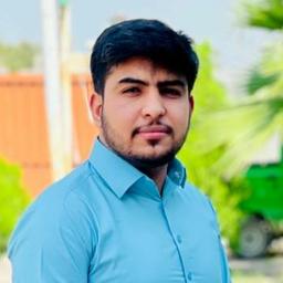 Arslan M. - Senior Full-Stack Engineer - PHP, JavaScript and WordPress Platforms