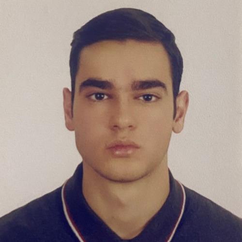 Arthur K. || item.role}