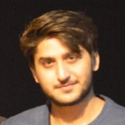 Asad M. - Lead Software Engineer - Data Science, Web and API Development