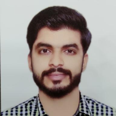 Asad S. - Lead Software Engineer - Blockchain, Data Processing and NFT Platforms
